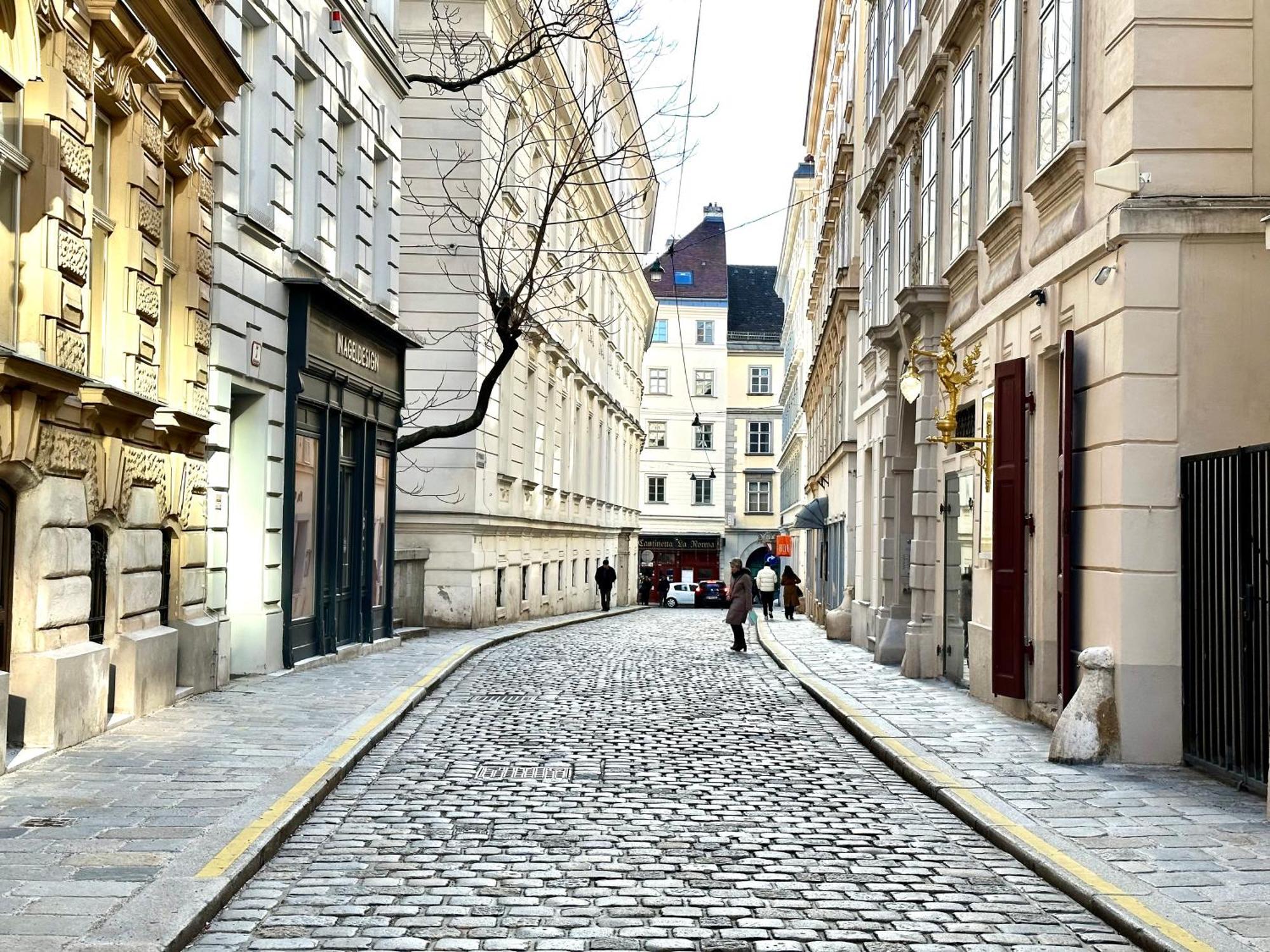 Central Stephansdom Apartment I Netflix I Self Check In Vienna Exterior photo